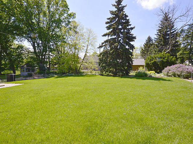 141 E Pine Ave, Roselle, IL 60172 photo 21