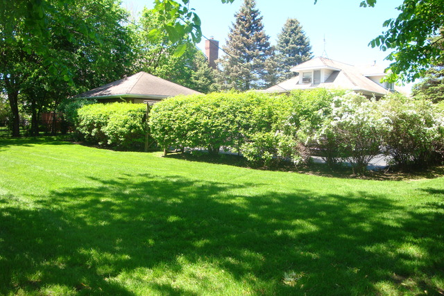 2249 Dewes St, Glenview, IL 60025 photo 6