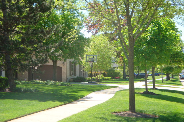 2249 Dewes St, Glenview, IL 60025 photo 13