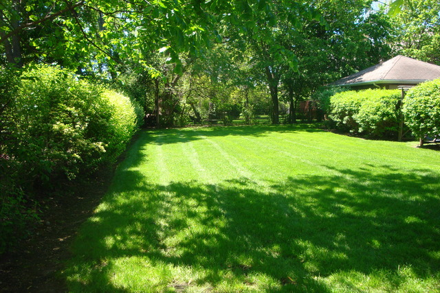 2249 Dewes St, Glenview, IL 60025 photo 5