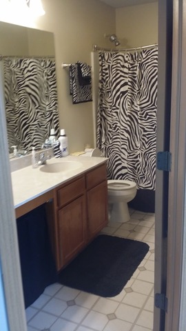 2811 Hoffman St, Plano, IL 60545 photo 9