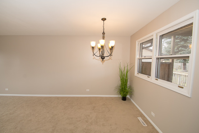 1768 Euclid Ave, Mount Prospect, IL 60056 photo 10