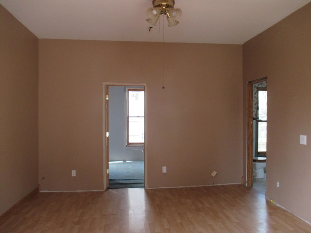 133 Hill Ave, Elgin, IL 60120 photo 5