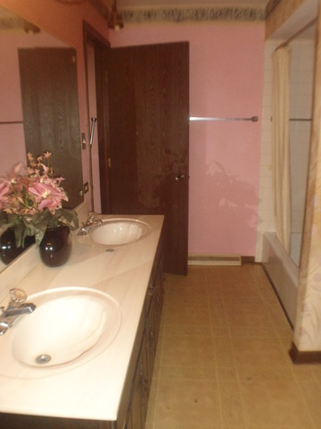 1213 Devonshire Dr, Joliet, IL 60435 photo 10