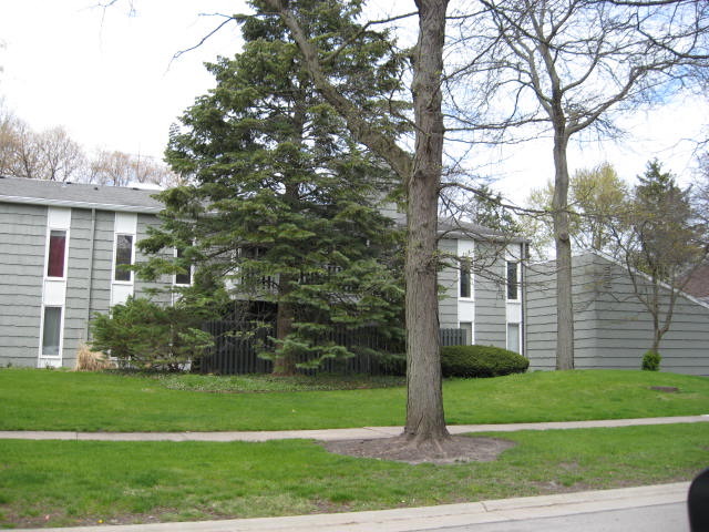 2075 Creekside Dr #1-3, Wheaton, IL 60189 photo 1