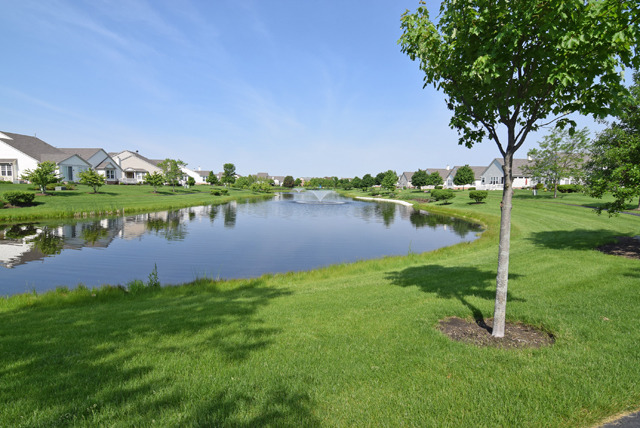 4144 Whitehall Ln, Algonquin, IL 60102 photo 23