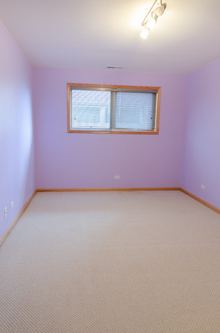 3146 S Stewart Ave, Chicago, IL 60616 photo 12