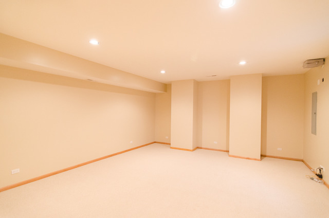 3146 S Stewart Ave, Chicago, IL 60616 photo 18