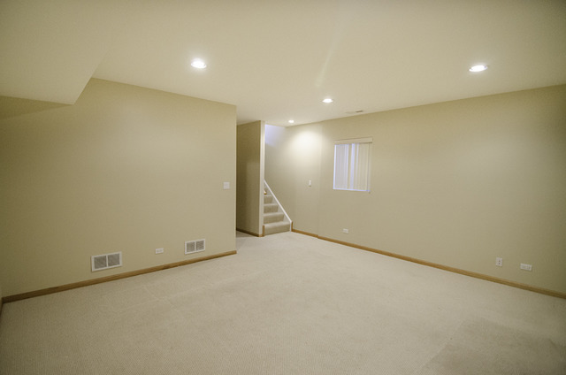 3146 S Stewart Ave, Chicago, IL 60616 photo 21