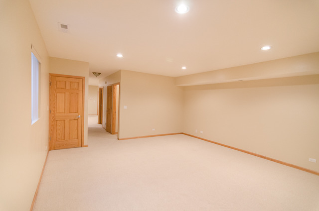 3146 S Stewart Ave, Chicago, IL 60616 photo 19
