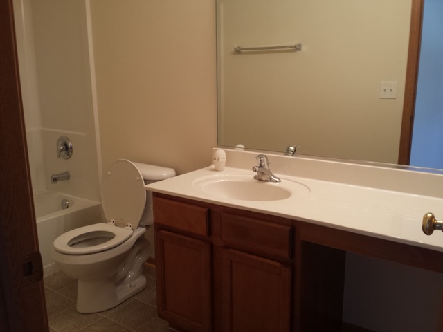 1812 Baring Ridge Dr, Plainfield, IL 60586 photo 9