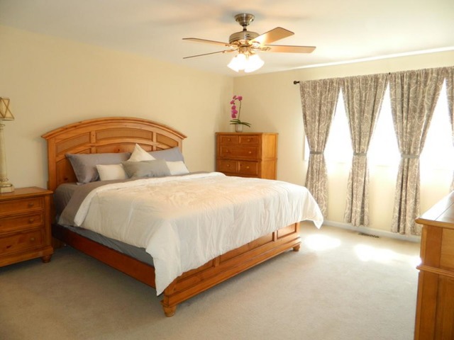 4425 Thornbark Ct, Hoffman Estates, IL 60192 photo 15
