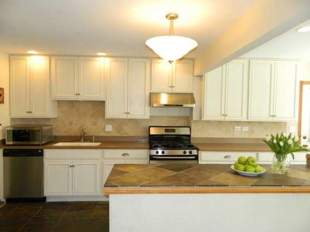 4425 Thornbark Ct, Hoffman Estates, IL 60192 photo 7
