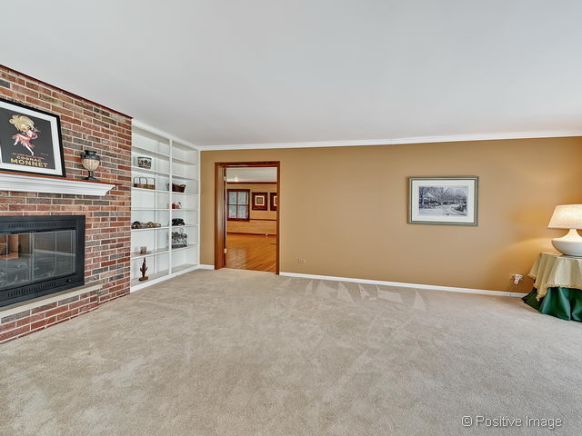 502 N Forest Dr, Addison, IL 60101 photo 7