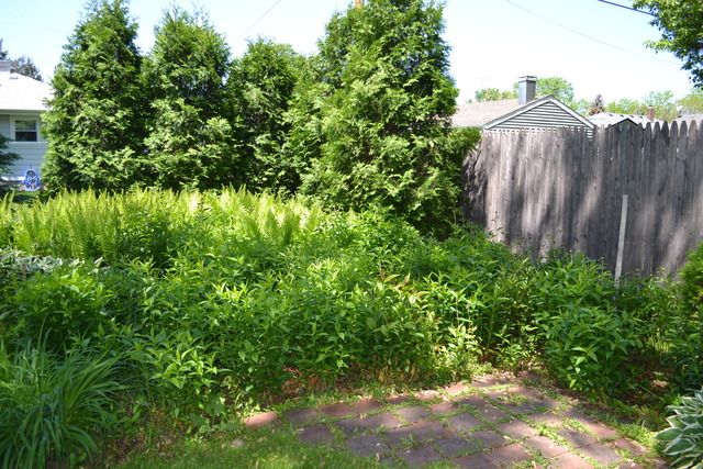 80 S Melrose Ave, Elgin, IL 60123 photo 22