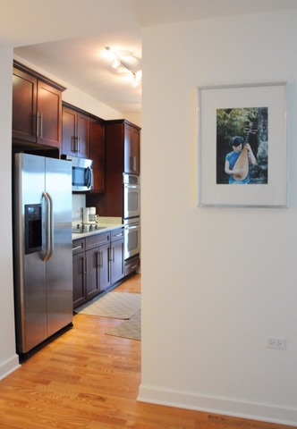 100 E 14th St #1901, Chicago, IL 60605 photo 4