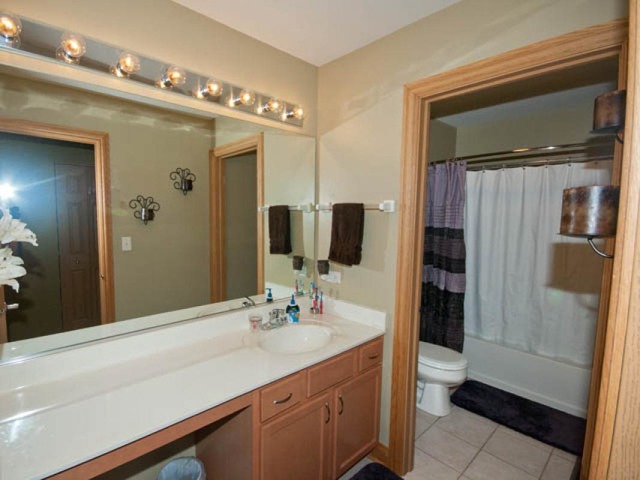6905 Twin Falls Dr, Plainfield, IL 60586 photo 18