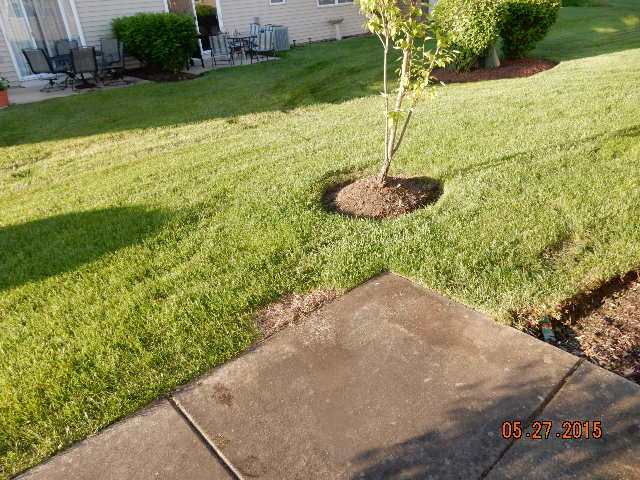 7223 Alden Dr, Plainfield, IL 60586 photo 3
