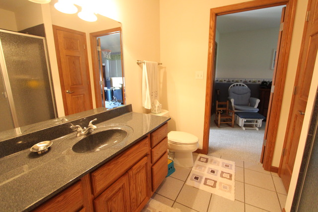 16595 Ashley Rd, Minooka, IL 60447 photo 21