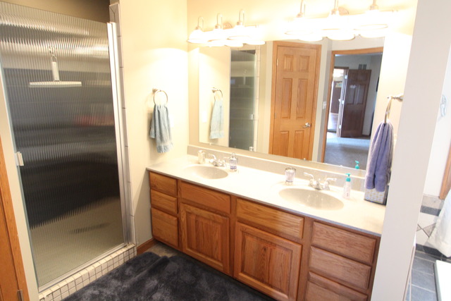 16595 Ashley Rd, Minooka, IL 60447 photo 17