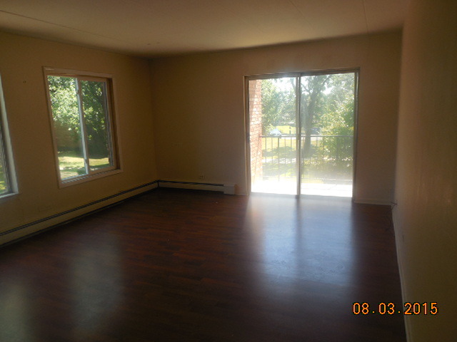 520 Burning Tree Ln #211, Naperville, IL 60563 photo 3