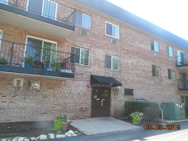 520 Burning Tree Ln #211, Naperville, IL 60563 photo 1