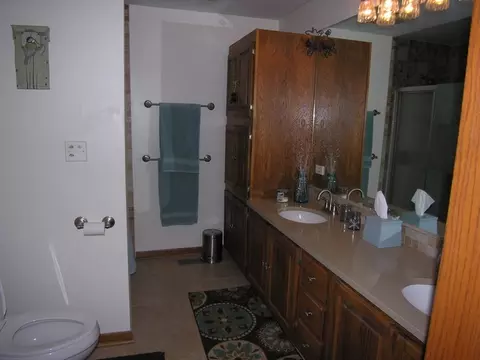 9 N780 Apache Run, Elgin, IL 60124 photo 6