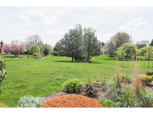 309 Trinity Ln, Oak Brook, IL 60523 photo 23