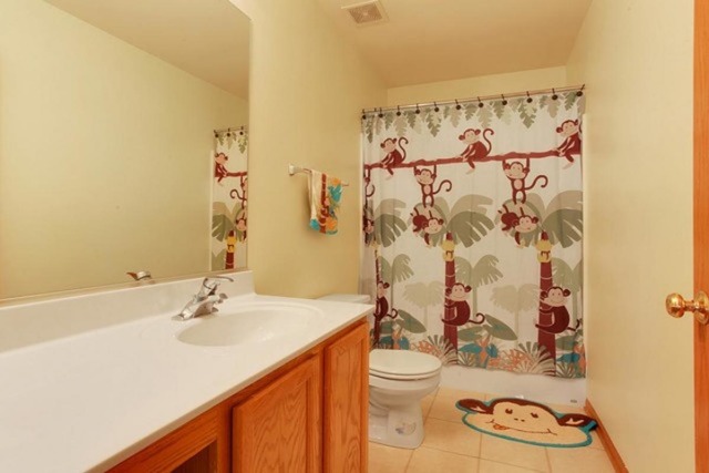 1609 Caton Ridge Dr, Plainfield, IL 60586 photo 17