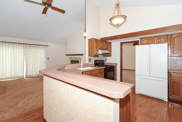425 Ginger Ln, Elgin, IL 60120 photo 10