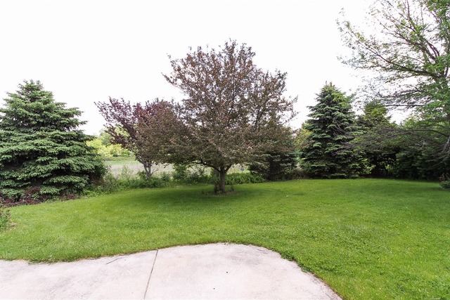 425 Ginger Ln, Elgin, IL 60120 photo 21