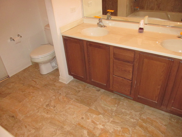 830 E Bowen Dr #3b, Chicago, IL 60653 photo 8
