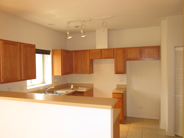 830 E Bowen Dr #3b, Chicago, IL 60653 photo 3