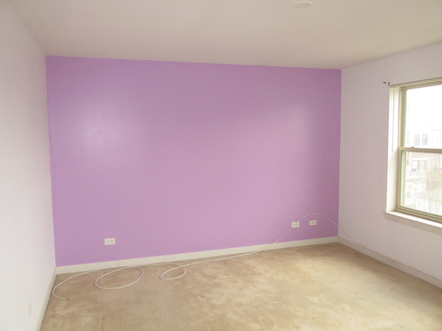 830 E Bowen Dr #3b, Chicago, IL 60653 photo 7