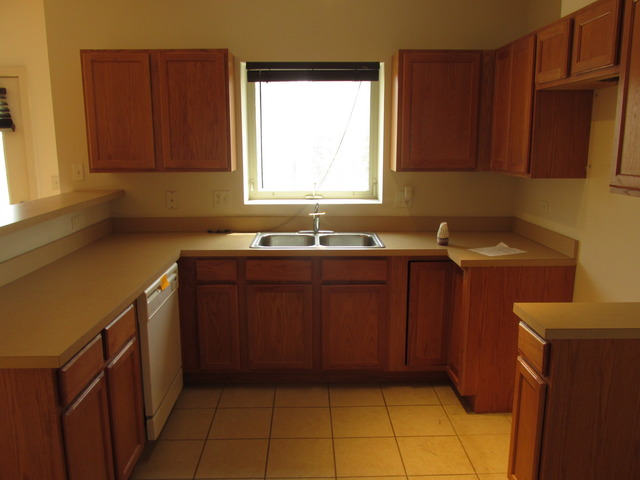 830 E Bowen Dr #3b, Chicago, IL 60653 photo 4