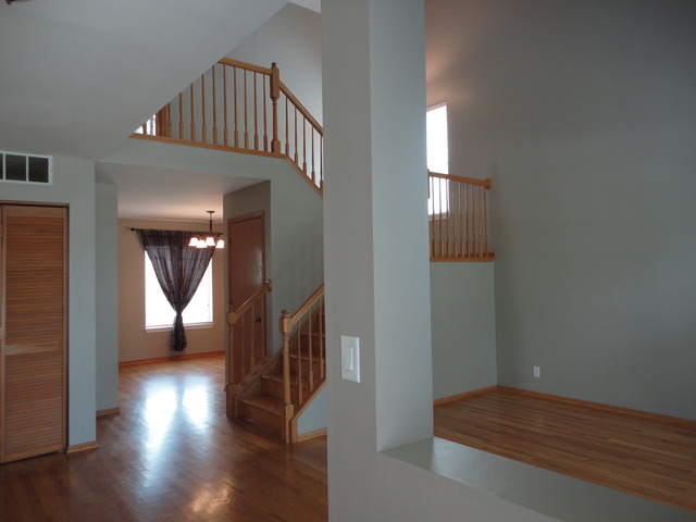 20947 W Boulder Dr, Plainfield, IL 60544 photo 2