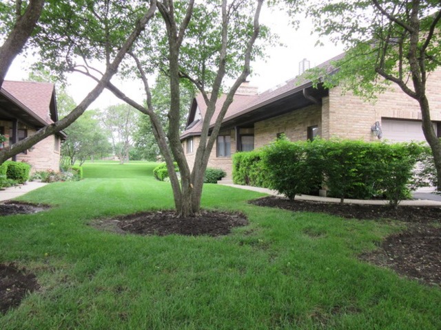 1754 Pebble Beach Dr, Hoffman Estates, IL 60169 photo 17
