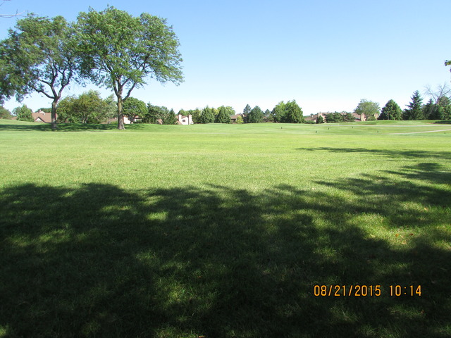 1754 Pebble Beach Dr, Hoffman Estates, IL 60169 photo 15