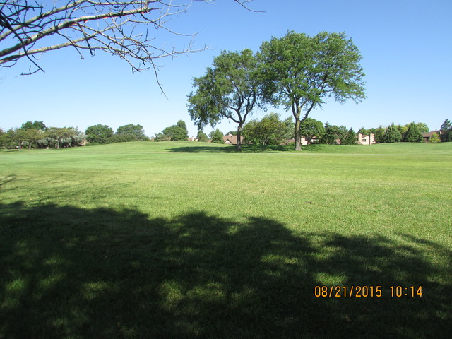 1754 Pebble Beach Dr, Hoffman Estates, IL 60169 photo 16