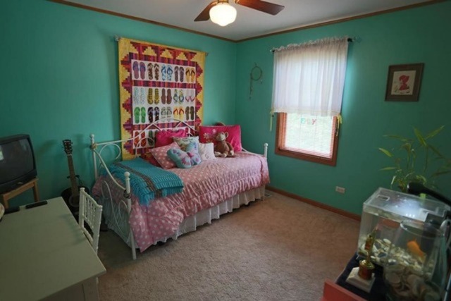 3175 Compton Rd, Aurora, IL 60504 photo 16