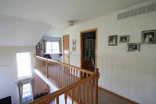2313 Rossiter Ct, Plainfield, IL 60586 photo 8