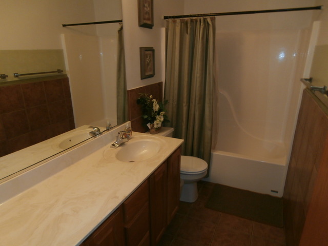 2206 Caton Ridge Dr, Plainfield, IL 60586 photo 17
