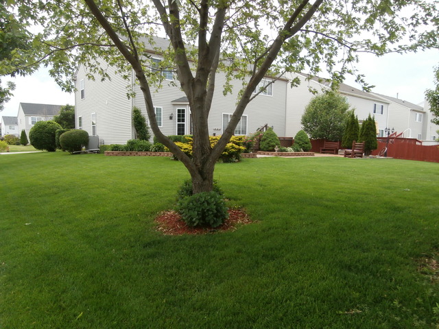 2206 Caton Ridge Dr, Plainfield, IL 60586 photo 19