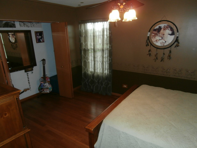 2206 Caton Ridge Dr, Plainfield, IL 60586 photo 16