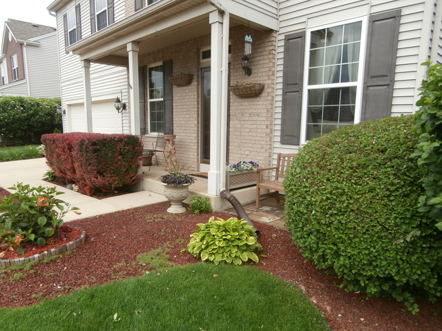 2206 Caton Ridge Dr, Plainfield, IL 60586 photo 2