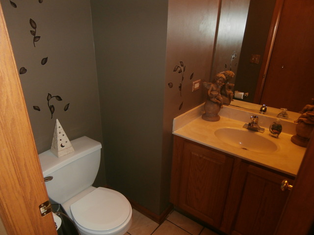 2206 Caton Ridge Dr, Plainfield, IL 60586 photo 9