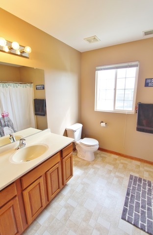 1827 Sunset Ln, Morris, IL 60450 photo 17