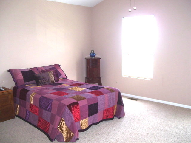5907 Arbor Gate Dr, Plainfield, IL 60586 photo 16