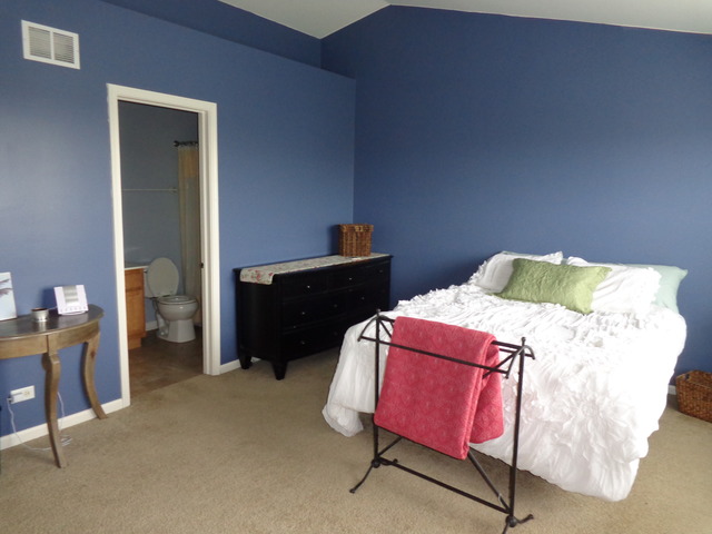 24604 John Adams Dr, Plainfield, IL 60544 photo 9