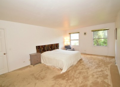 939 Brighton Dr, Wheaton, IL 60189 photo 24